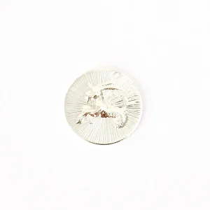 1 pendentif signe astrologique Capricorne en laiton Argenté 925 Premium