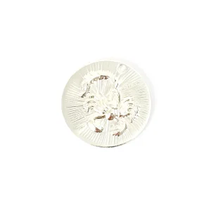 1 pendentif signe astrologique Scorpion en laiton Argenté 925 Premium