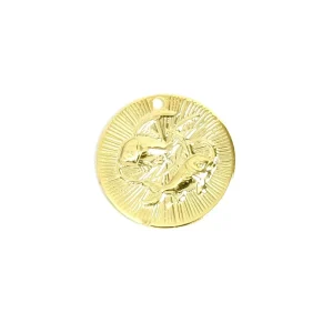 1 pendentif signe astrologique Poisson en laiton Doré à l'or fin 24K Premium